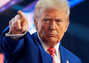 Трамп хочет редкоземельные металлы в обмен на помощь Украине