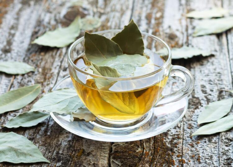 Ceaiul de frunze de dafin, un beneficiu pentru sănătate. Ajută la întărirea imunității, dar are și efect antibacterian și antioxidant