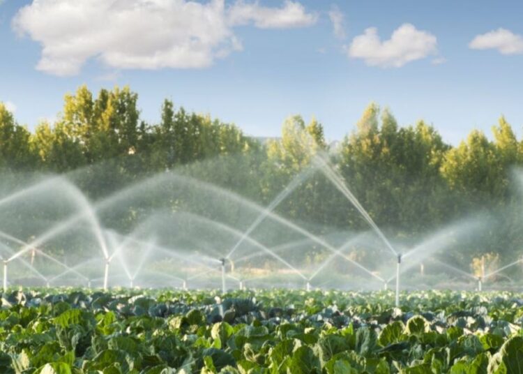 Granturi de până la 500 de mii de dolari pentru îmbunătățirea sistemelor de irigare