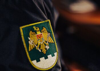 Au vrut să treacă frontiera cu permise false