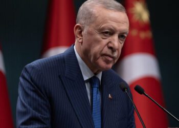 Erdogan nu exclude ca Turcia să trimită trupe pentru menținerea păcii în Ucraina