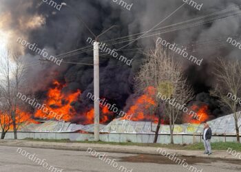 VIDEO // Incendii puternice în nordul Moldovei. La Bălți, pompierii încă luptă cu flăcările