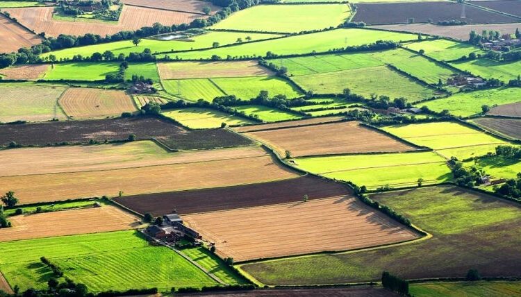 Noul Cod Funciar, amânat pentru 1 aprilie