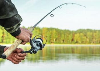 A fost stabilită perioada de interdicție la pescuit în 2025