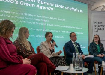 Carolina Novac, la „Green and Just Transition Summit”: R. Moldova a făcut progrese semnificative în promovarea tranziției către surse regenerabile