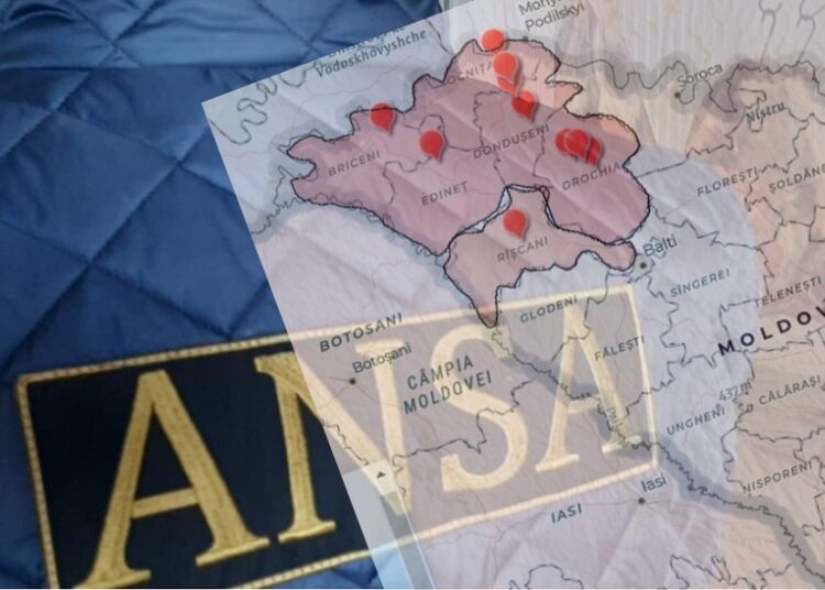 Focare de rabie la vulpe și pestă porcină africană în nordul țării! Anunțul ANSA