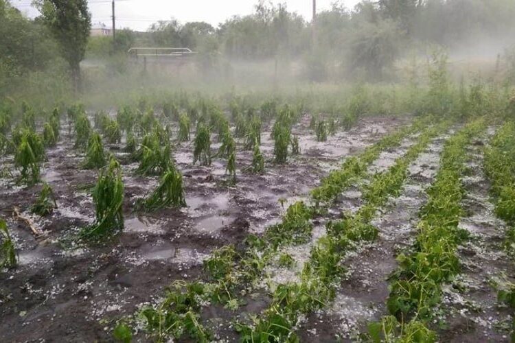 DOC // Guvernul alocă peste 115 milioane de lei pentru lichidarea consecințelor calamităților naturale din iunie – septembrie 2024