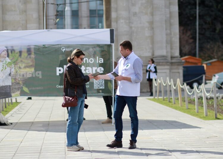 Primăvara verde: 8 milioane de puieți vor fi plantați în Campania Națională „Marea Plantare”