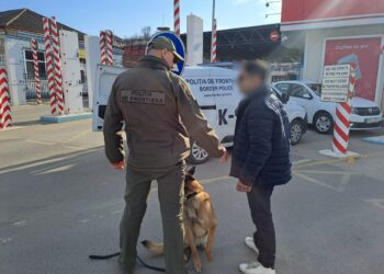 Câinele de serviciu Amy a depistat substanţe psihotrope la punctul de trecere Otaci