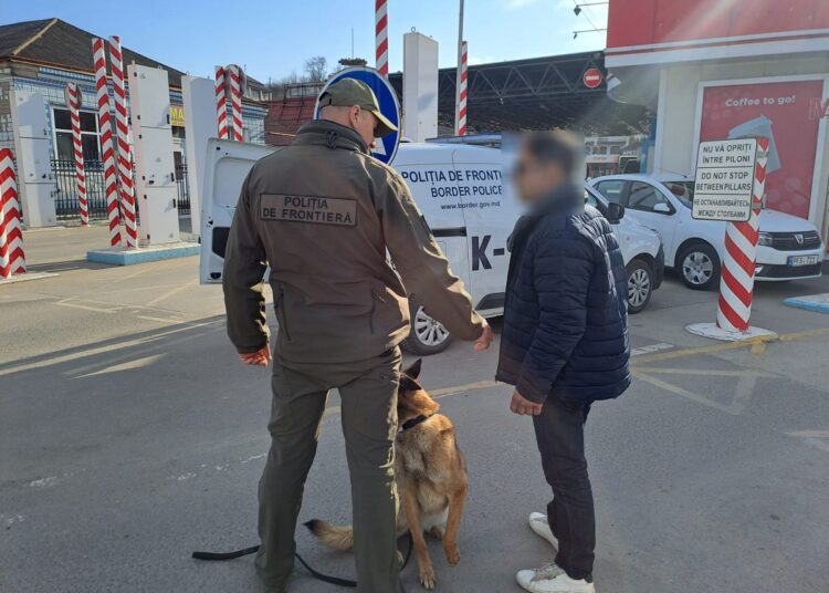 Câinele de serviciu Amy a depistat substanţe psihotrope la punctul de trecere Otaci