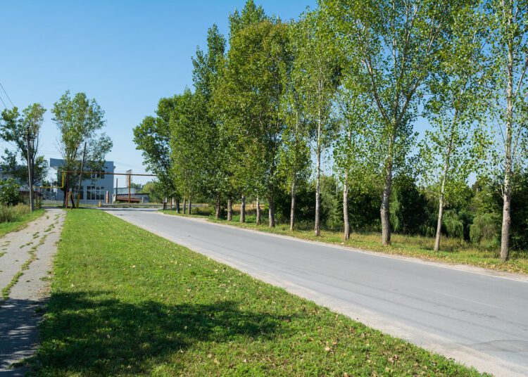 Pentru construcția străzii Dovator, Primăria Bălți vrea să împrumute 80 de milioane de lei