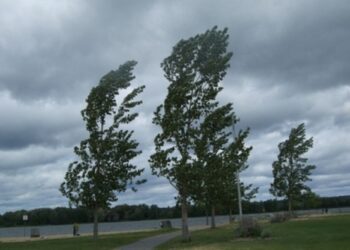 Alertă meteo în nordul țării. Temperaturi scăzute și vânt moderat astăzi