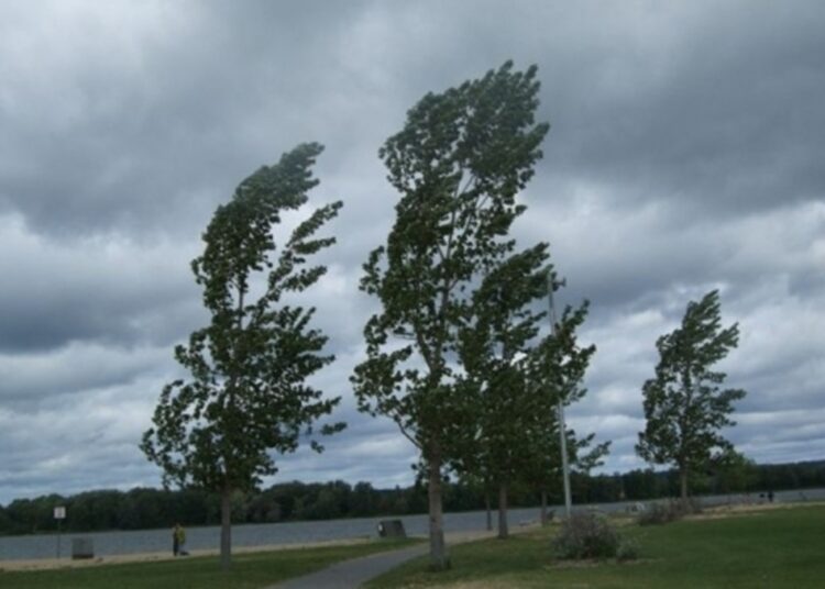 Alertă meteo în nordul țării. Temperaturi scăzute și vânt moderat astăzi