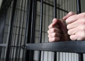 Și-ar fi lovit soția cu un topor. Un bărbat din Edineț, condamnat la 3,6 ani de închisoare