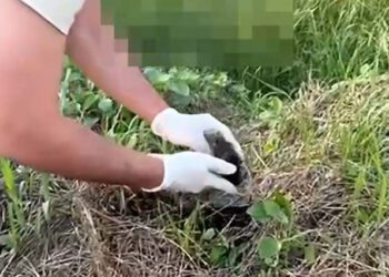 VIDEO // Ascundeau droguri pentru 5 dolari. Un sportiv de performanță și amicul său, reținuți