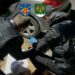 VIDEO // Captură de droguri de un milion de lei