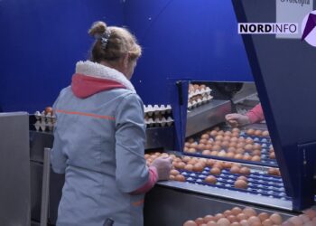 VIDEO // O fermă de la Nord exportă ouă în UE. A fost vizitată de ambasadorul Janis Mazeiks