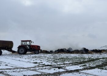 FOTO/VIDEO // Agricultorii din nordul Moldovei fac tot ce pot pentru a-și salva livezile