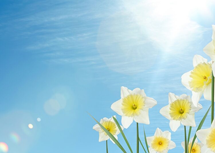 Fără extreme în nordul țării. Nori și temperaturi de primăvară