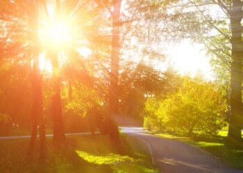 Primăvara își menține echilibrul. Vreme plăcută și blândă