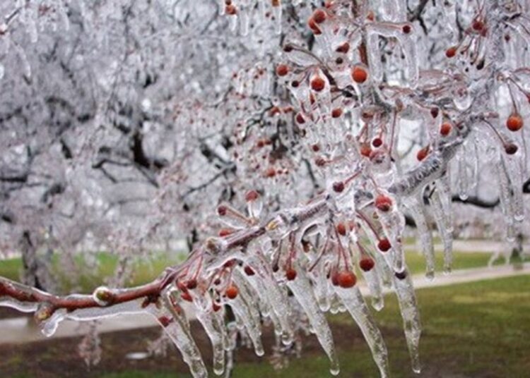 Răcire bruscă în nordul țării. De la +20°C la risc de îngheț