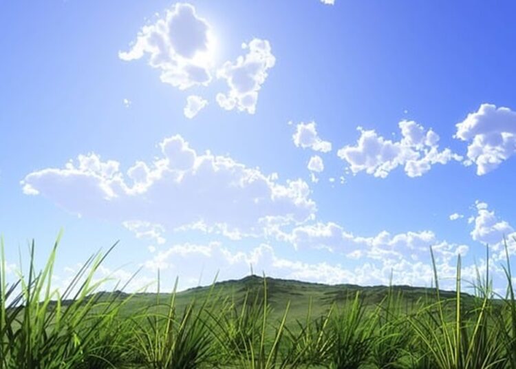 Maxime de +22°C în nordul republicii