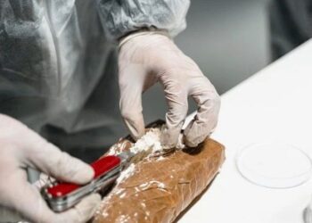 Coreea de Sud anunţă cea mai mare captură de droguri din istoria sa: două tone de cocaină