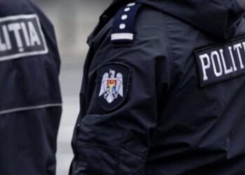 Polițiști din Edineț, amenințați cu toporul de către un bărbat beat