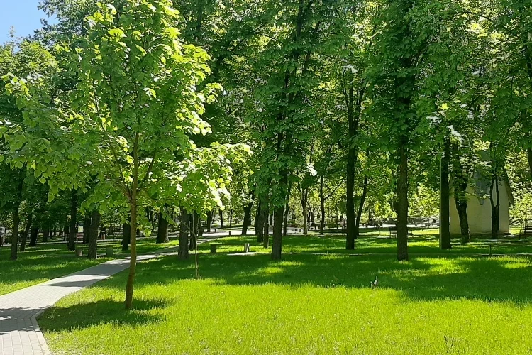 Ne bucurăm de vreme caldă. Cât vor indica termometrele