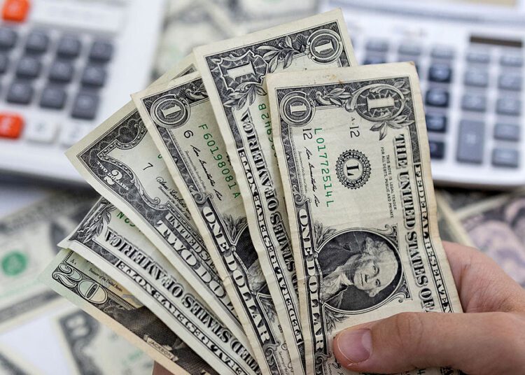 Dolarul se apreciază puternic. Creștere de 34 de bani într-o singură zi