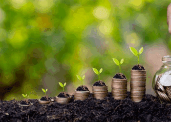 Atenție agricultori! Statul oferă subvenții de până la 800 000 de lei pentru proiecte de îmbunătățire a solului