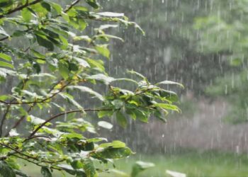 Vreme instabilă în nordul țării. Ploi cu descărcări electrice și vânt puternic