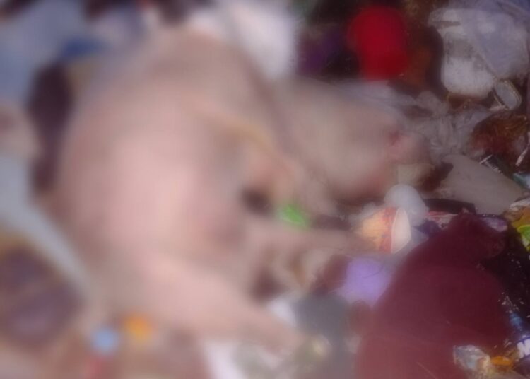 Focar de pestă porcină africană în cel mai mare sat din nordul țării. Solicitările ANSA