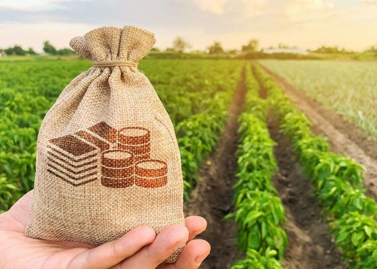 Subvenționarea în agricultură va fi reglementată de o lege nouă