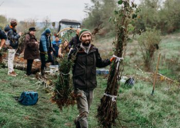 Campania națională de împădurire: Circa 16 mii de hectare, plantate