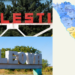 Amalgamarea voluntară în raioanele Leova și Fălești