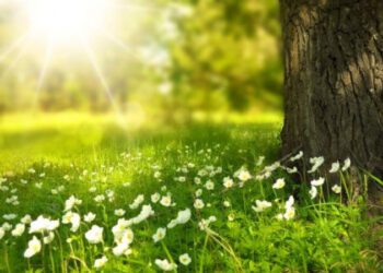 Sfârșit de săptămână mai cald. Cum va fi vremea în nordul țării