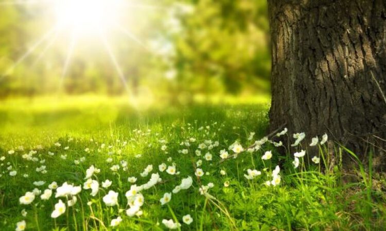 Sfârșit de săptămână mai cald. Cum va fi vremea în nordul țării