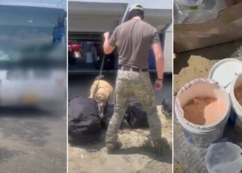VIDEO // Droguri ascunse în borcane cu suplimente pentru sportivi, descoperite într-un autocar. Doi șoferi, reținuți