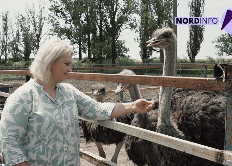 VIDEO // O mică grădină zoologică, dezvoltată la periferia satului Pelinia: struți, păuni sau iepuri. Ferma vinde cele mai naturale produse