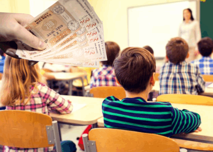 1.000 de lei pentru fiecare elev din clasele I–IX. Statul va acorda sprijin financiar începând cu noul an școlar