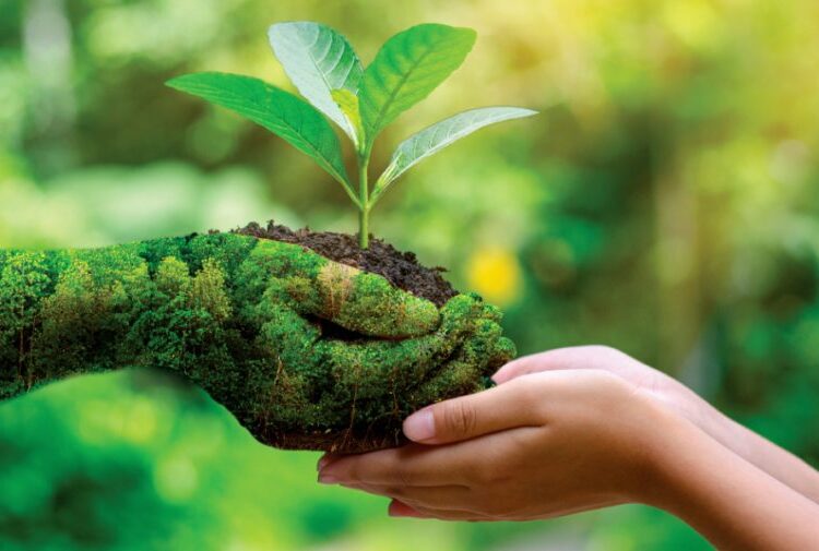 Ziua Mediului va fi sărbătorită la Edineț. În prim-plan, lupta împotriva poluării cu plastic