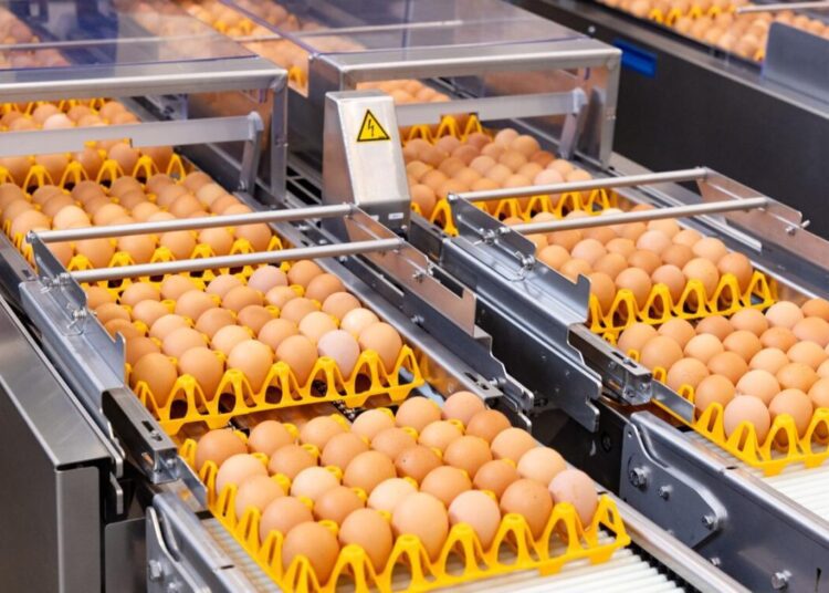 R. Moldova înregistrează o creștere record a exporturilor de ouă către UE
