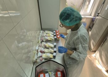 ANSA avertizează că produsele alimentare perisabile devin periculoase după doar câteva ore la temperaturi caniculare