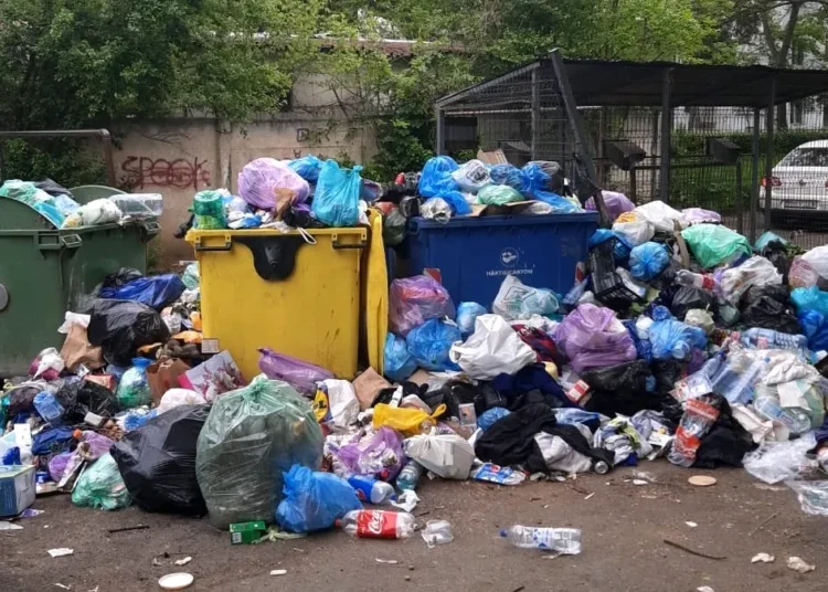 Criza deșeurilor în Republica Moldova – între provocări reale și pași concreți spre soluții durabile