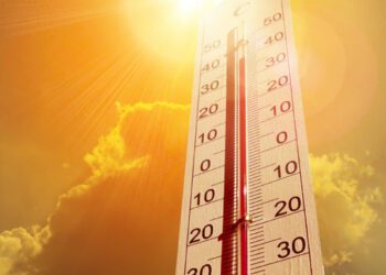 Canicula face victime în Europa. Alertă roșie în Franța, au fost înregistrate temperaturi record. Incendii devastatoare în Spania