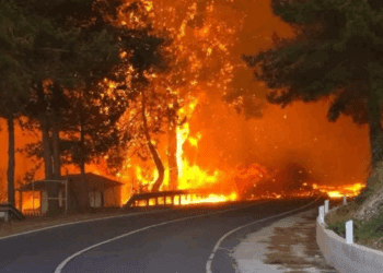 Zece salvatori au murit și mii de persoane au fost evacuate în urma unor incendii devastatoare în Turcia