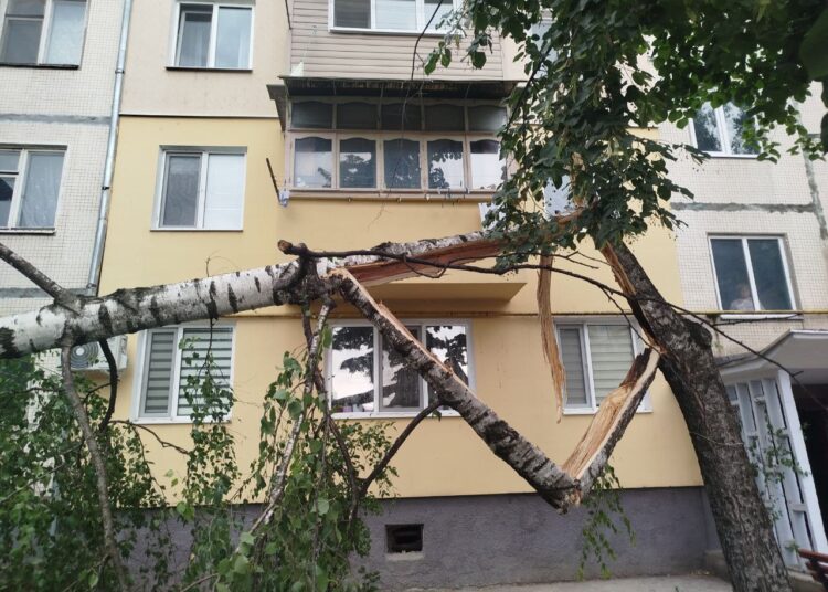 FOTO // Furtuna a doborât copaci la Bălți. Mai multe mașini au fost avariate