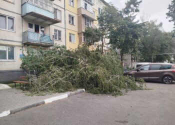 FOTO // Furtuna a doborât copaci la Bălți. Mai multe mașini au fost avariate