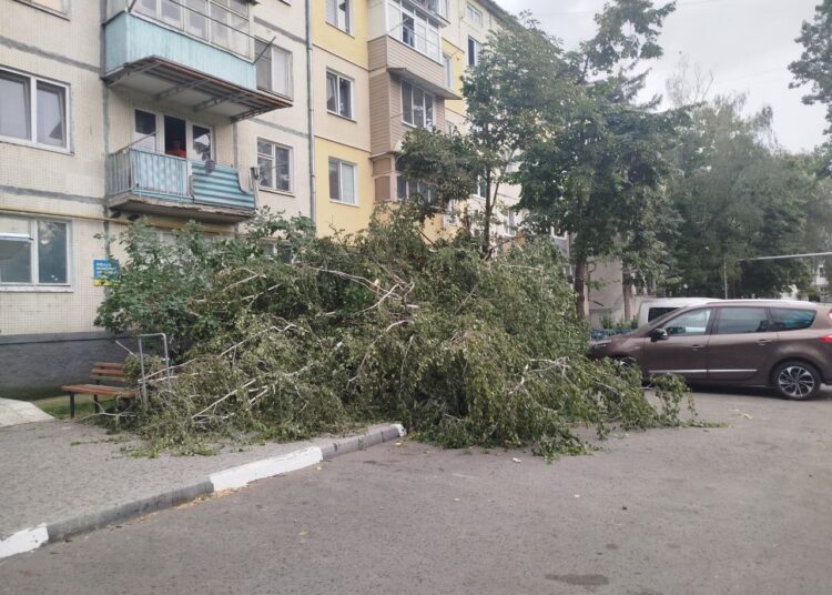 FOTO // Furtuna a doborât copaci la Bălți. Mai multe mașini au fost avariate